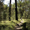 glass house mountains national park