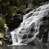 kondalilla national park