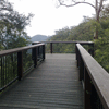 Mapleton Falls National Park Lookout