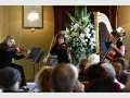 Serenade with Aether String Trio