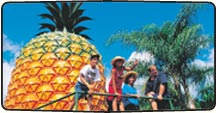 Sunshine Coast Tourist Attractions