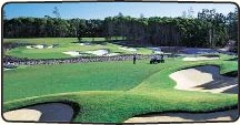 Sunshine Coast Golf