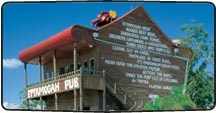 Sunshine Coast Pubs