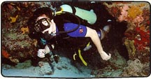 Sunshine Coast Scuba Diving