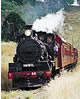 Valley Rattler Steam Train Tours