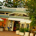 Noosa & Montville Shopping Tour including River Cruise