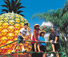 Sunshine Coast Tourist Attractions
