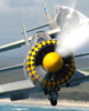 Combat Warbird Adventure Flight in a YAK52 For Two