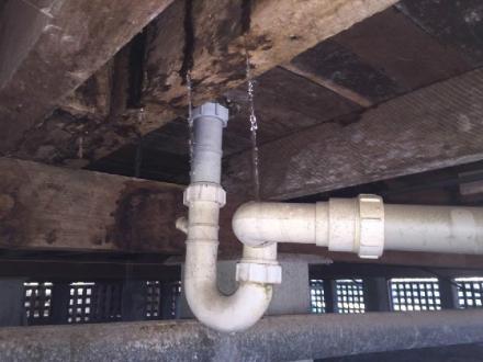 BPI Building & Pest Inspections Sunshine Coast - Central & South