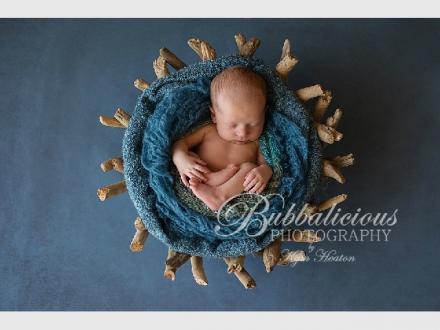 Bubbalicious Photography
