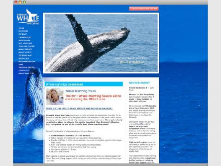 Digital Organics - Web Design | SEO | Social Media - Marketing for the Futu
