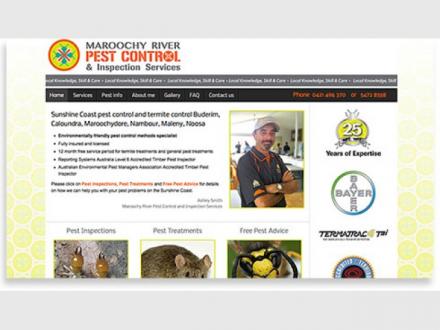 Eagle Web Design