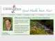 Eagle Web Design
