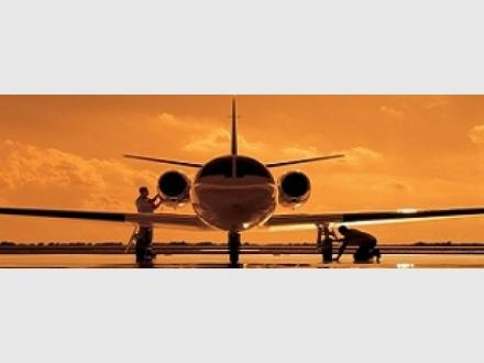 Flight Options