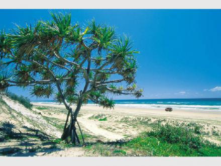Fraser Island Discovery