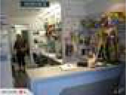 Home Entertainment Services