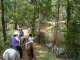 Kiah Park Horse Riding Camp