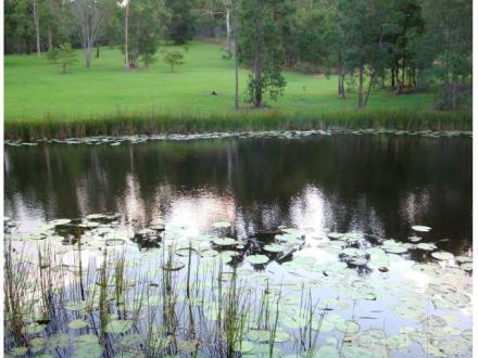Melawondi Spring Retreat