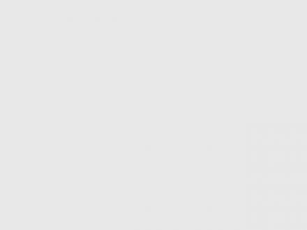 Mullins IT