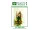 Multi Award Winning Buderim Florist