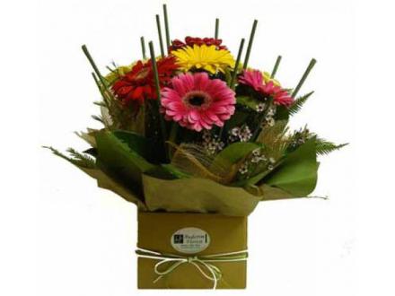 Multi Award Winning Buderim Florist