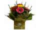 Multi Award Winning Buderim Florist