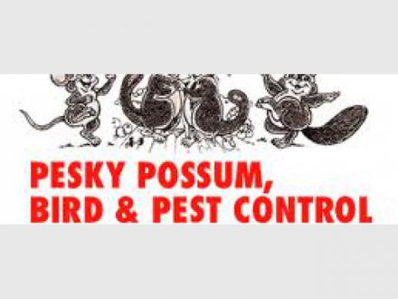 Pesky Possum
