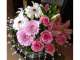 Petals in Paradise Flowers & Gifts
