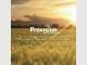 Provision Wealth Management Provision Wealth Management