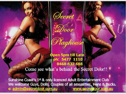 Secret Door Playhouse