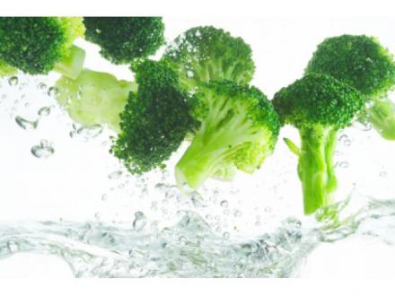 Simply Nutrition Consultant Dietitians