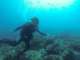 SubSurface Scuba