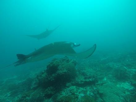 SubSurface Scuba