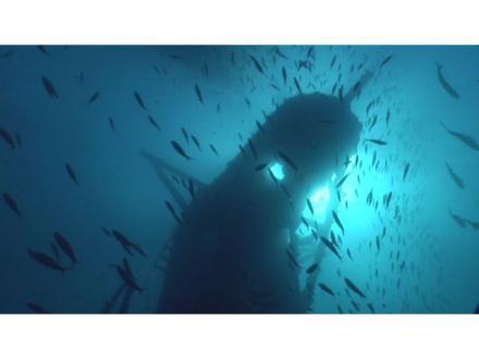 Sunreef Scuba Diving Services