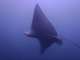 Sunreef Scuba Diving Services