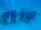 Sunreef Scuba Diving Services