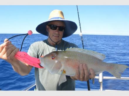 Sunshine Coast afloat