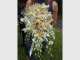 Sunshine Coast Florist