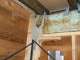 Wildman Building & Pest Inspections