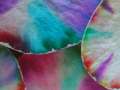 Blue Sky Science - holiday science workshops for kids