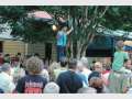 Eumundi Summer Nights