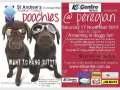 Poochies @ Peregian