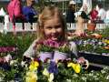 Queensland Garden Expo