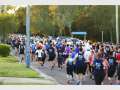 Stockland Caloundra Foreshore Fun Run