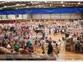 The Handmade Expo Market Morayfield