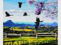 The Hinterland Postcard Show