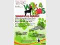 Walk 4 Paws