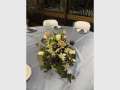 Wedding Extravaganza