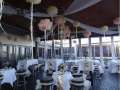 Wedding Extravaganza