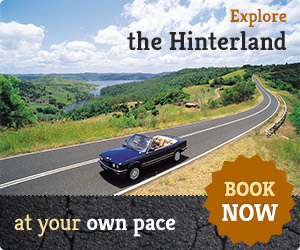 Hinterland Tours